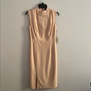 Elegant Blush Pink Sleeveless Dress